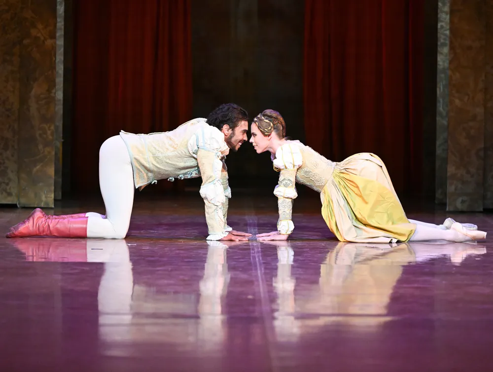 Der Widerspenstigen Zähmung